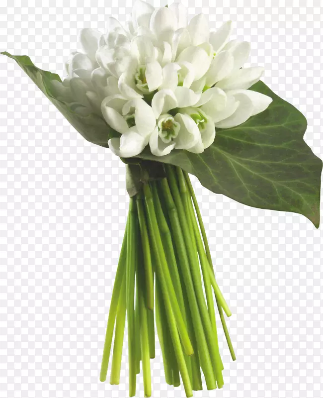 花束茉莉花.白色材料的花束