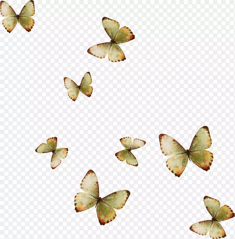蝴蝶变形粉红花墙纸-黄色蝴蝶