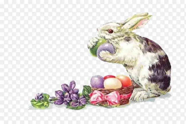 复活节兔子明信片兔子贺卡-手绘兔子