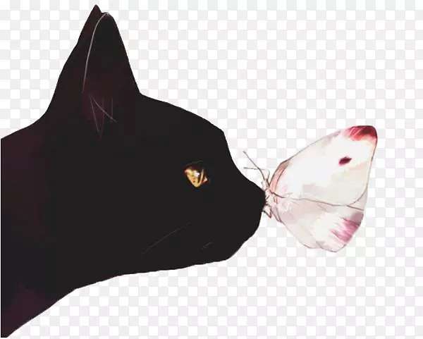 黑猫蝴蝶插图-猫和蝴蝶