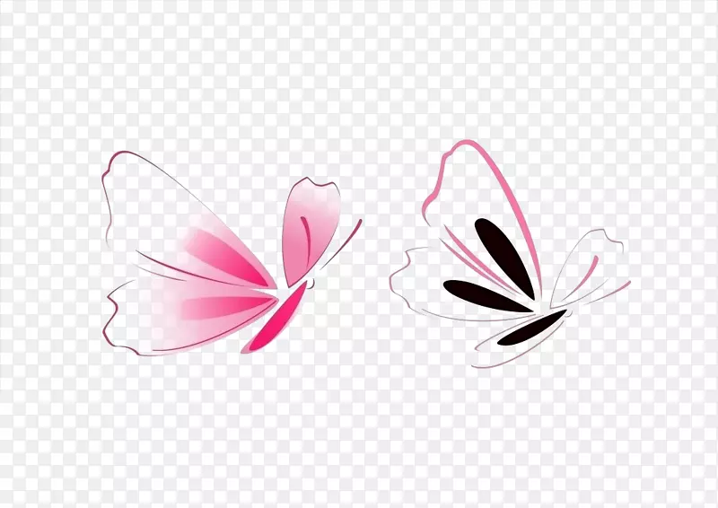 蝴蝶粉红-蝴蝶图片