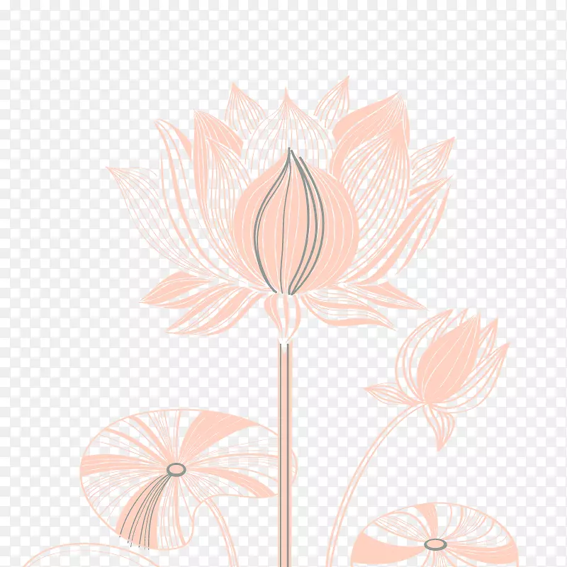 花卉设计花瓣图案-创意线画莲花
