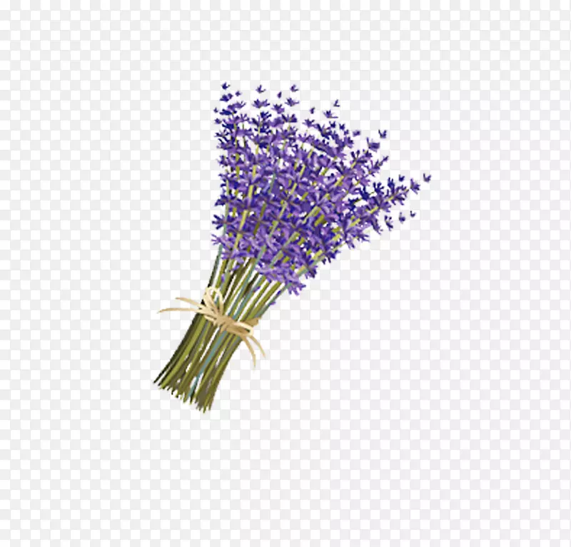 薰衣草画紫罗兰-一束紫色薰衣草漂浮图案