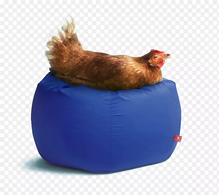 鸡公鸡下载-创意无花果鸡躺在凳子上