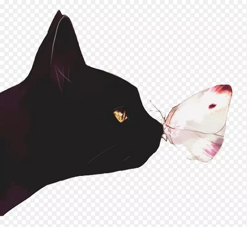 黑猫蝴蝶插图-猫和蝴蝶