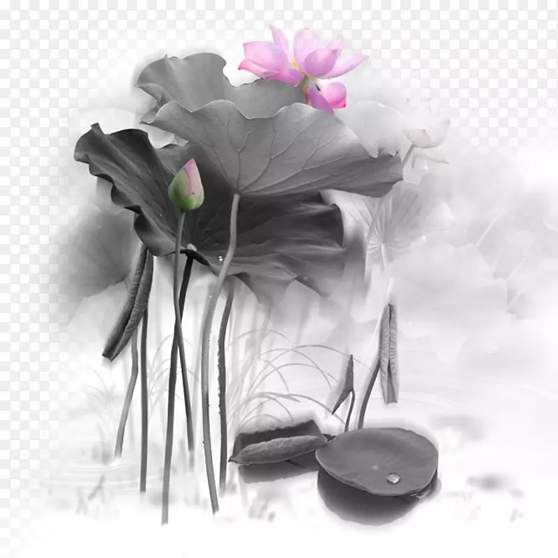 水墨画-莲花卷轴的创意设计