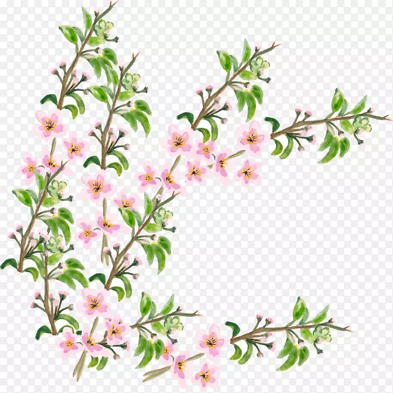 樱花-手绘粉红枝条