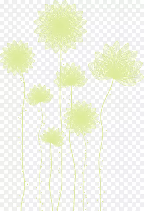 花瓣区系黄色花纹-白色花纹