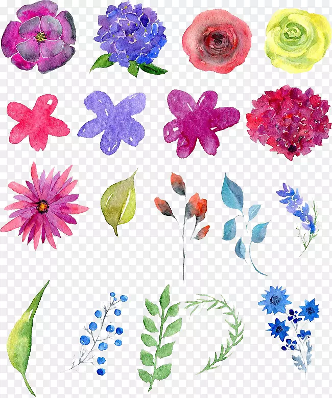 花卉设计水彩画花卉
