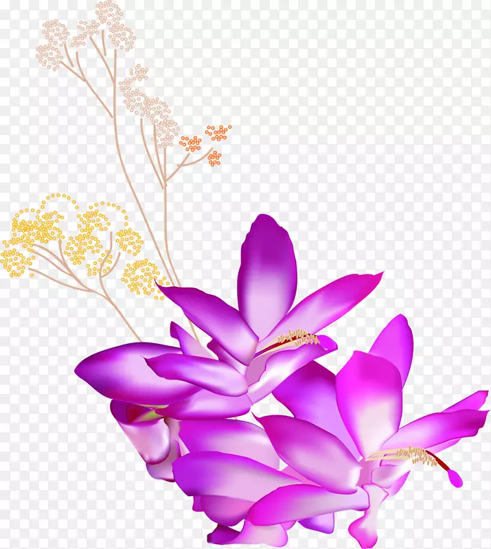 紫花图案.手绘紫色莲花