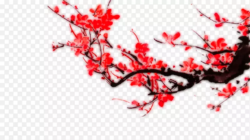 梅花-梅花