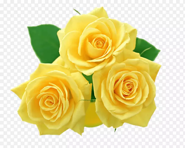 玫瑰花黄色剪贴画-花