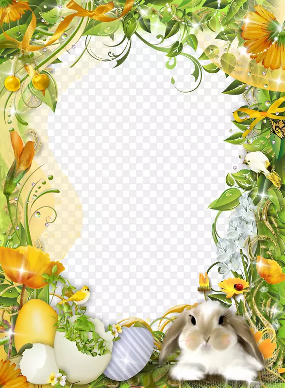 复活节兔子画框摄影.框架模板设计