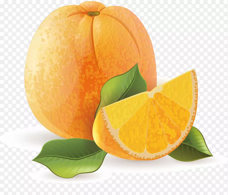 橙汁橘子装饰设计