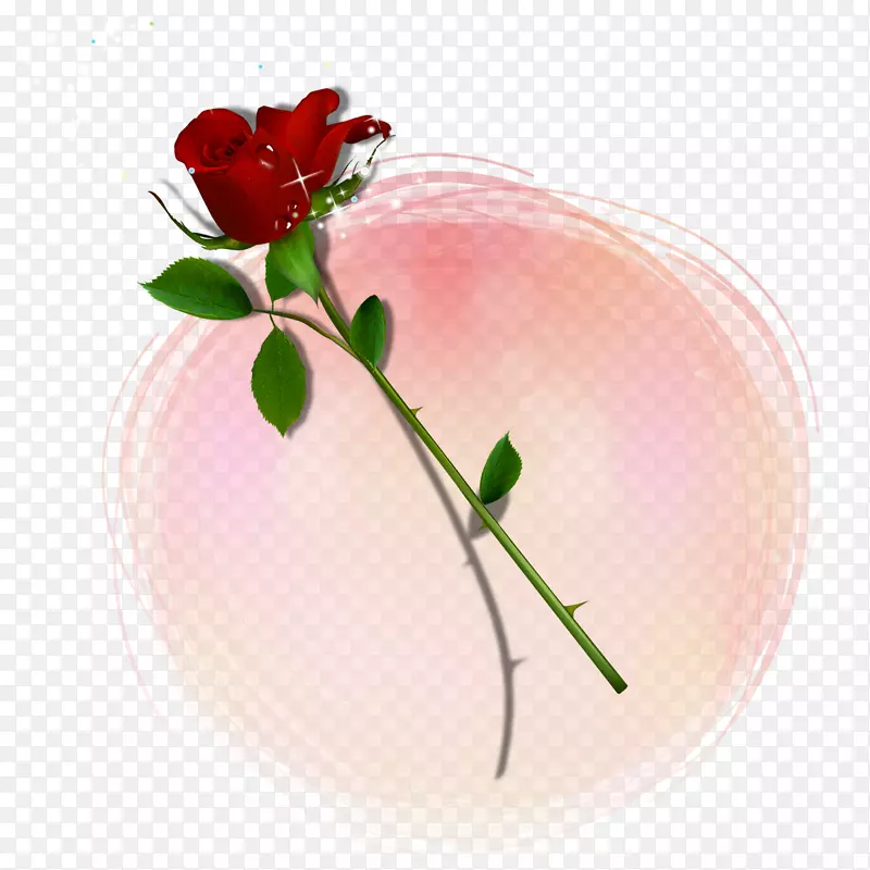 情人节玫瑰-红玫瑰载体