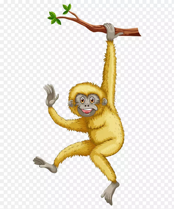 猴子灵长类长臂猿卡通手绘卡通猴子树枝
