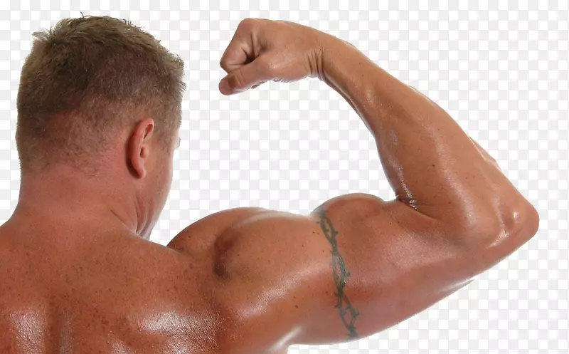 肱二头肌手臂健美运动-显示强健手臂的男子HD扣材料