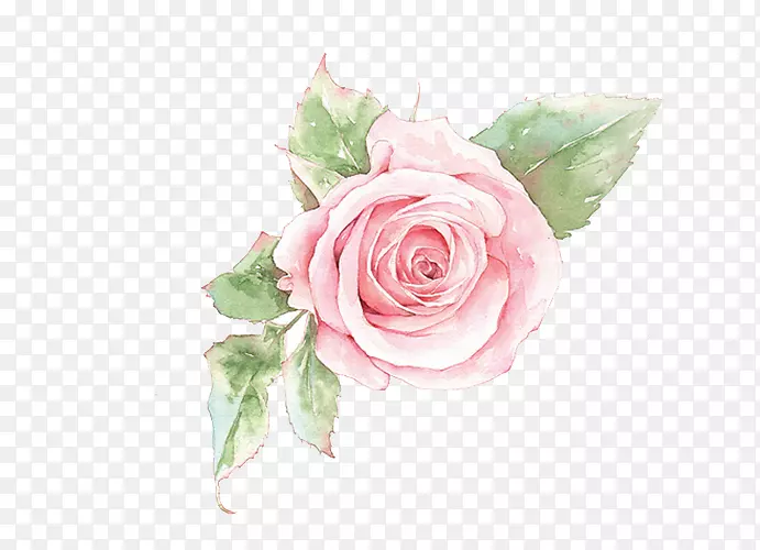 插花艺术-粉红色玫瑰