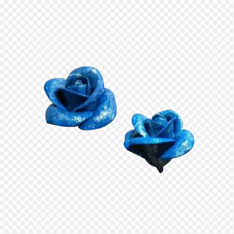 玫瑰科-粉末蓝玫瑰