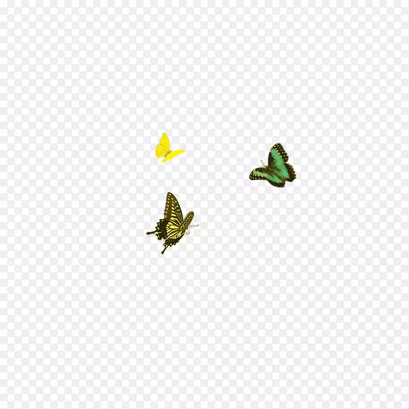 蝴蝶图标-蝴蝶