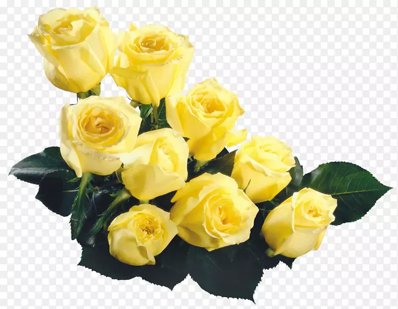 玫瑰黄色花束夹艺术-田园画田园风