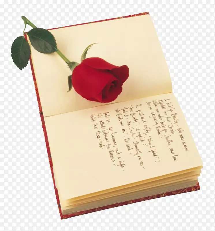 红玫瑰诗圣乔治日情人节玫瑰站着书籍