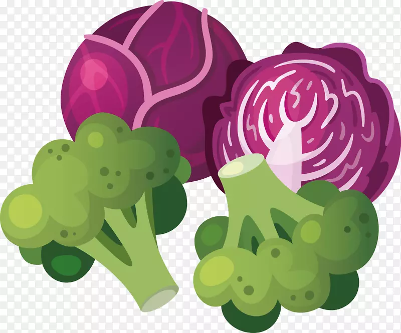 葡萄蔬菜食品菠菜-健康蔬菜菠菜装饰