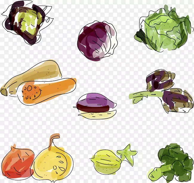 蔬菜食品水果.蔬菜载体材料