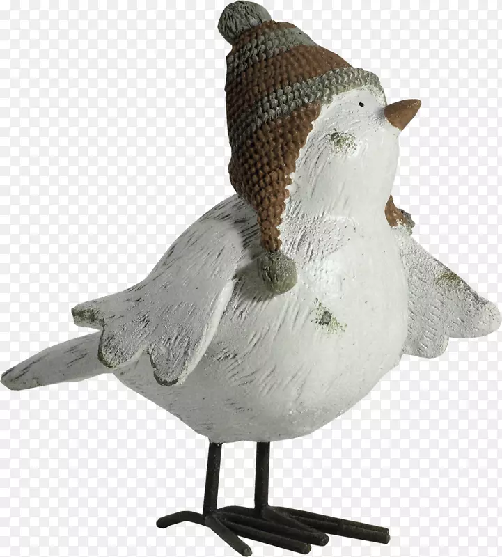 小鸟动画店-帽子鸟