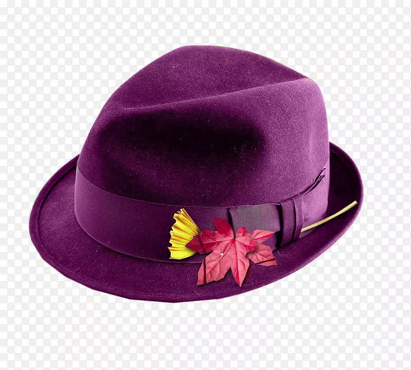 帽子紫色剪贴画-紫色帽子