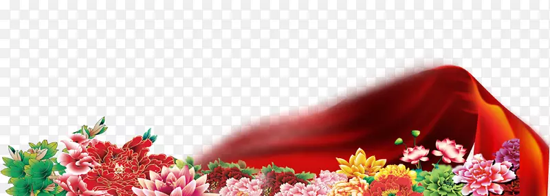 色带-红丝带花
