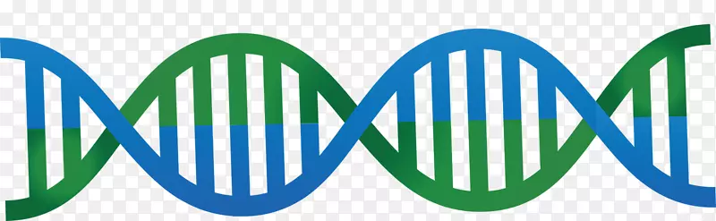 DNA核酸双螺旋载体-蓝色和绿色可爱的DNA载体双螺旋图形