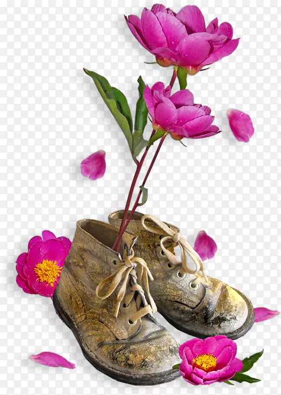 花设计鞋剪贴画-鞋上的花