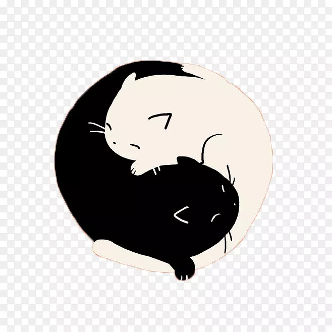 黑猫阴阳t恤手绘黑白猫
