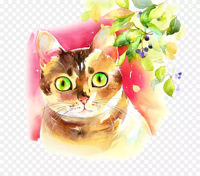 猫水彩画彩色铅笔绿眼猫画材料