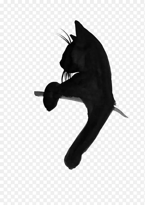 脾气暴躁的猫纹身小猫t恤黑猫