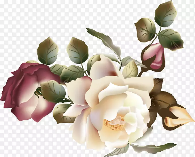 花卉花园玫瑰摄影剪贴画花