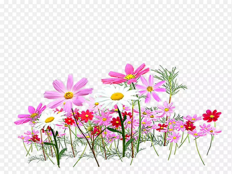 切花彩色剪贴画-粉红色鲜花花园装饰图案