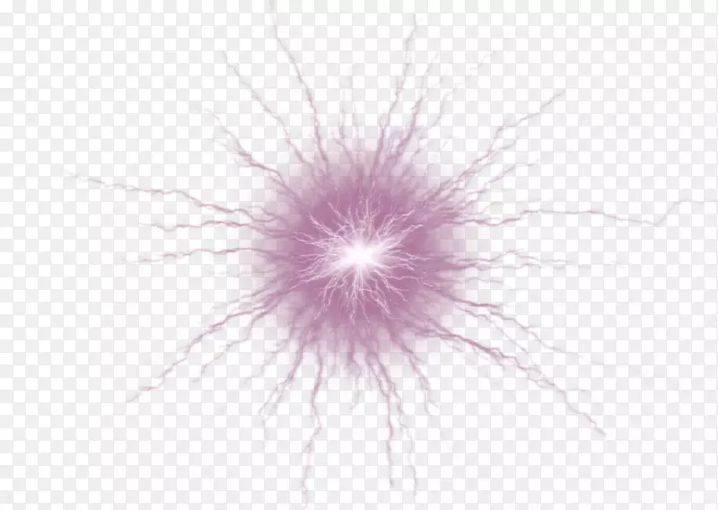 近距离天空花瓣电脑壁纸-紫光效应元素