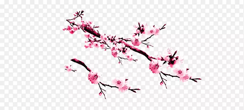 桃红樱花-梅花PNG图片素材下载_图片编号506612-PNG素材网