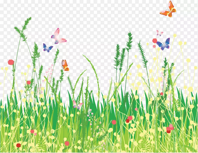 花童奥苏尔-le-voulgis网站组织-一只美丽的蝴蝶和草