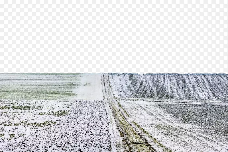 巴伐利亚摄影-霜冻击中草地
