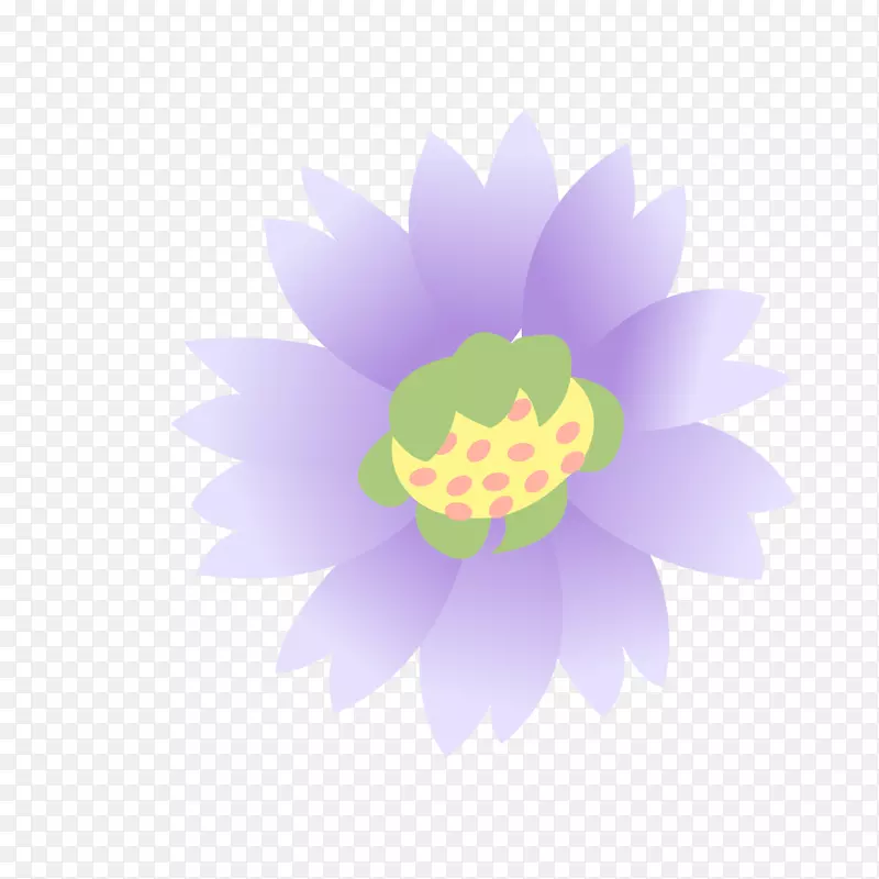 紫莲花-紫莲装饰