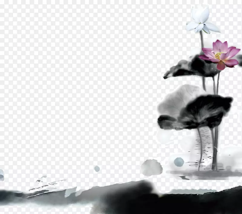 水墨画工笔画四位先生墨汁莲花