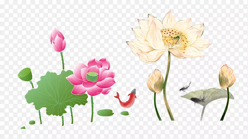 年画节对联传统-手绘莲花