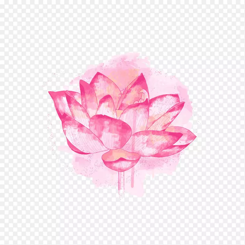 莲藕植物象征-粉红色莲花水彩画