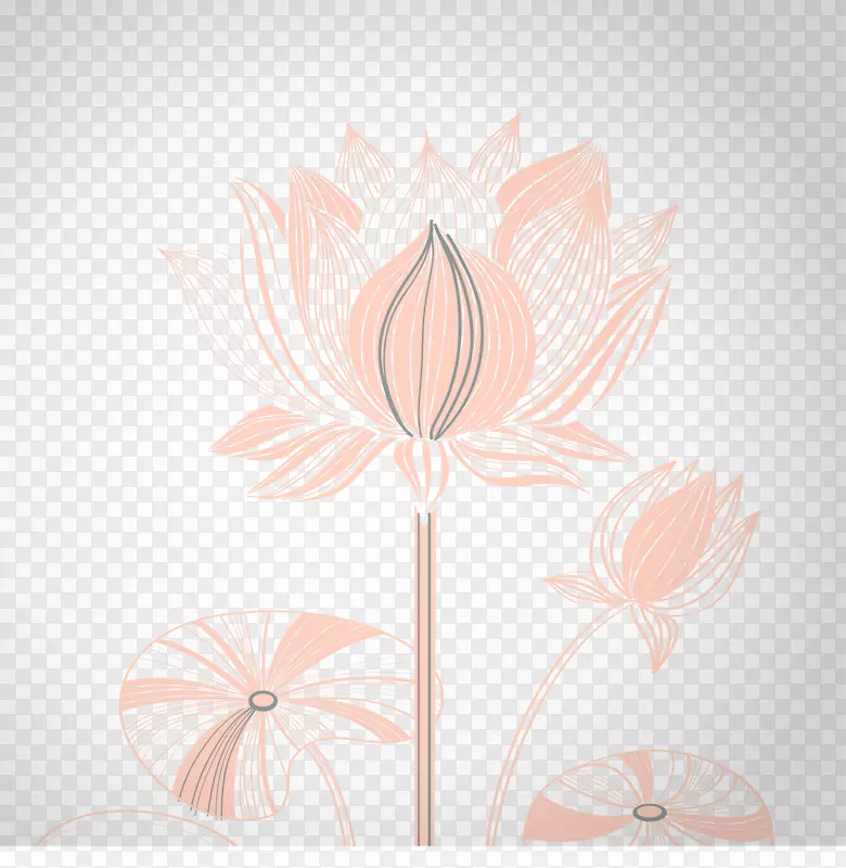 花卉设计艺术花瓣-创意设计莲花