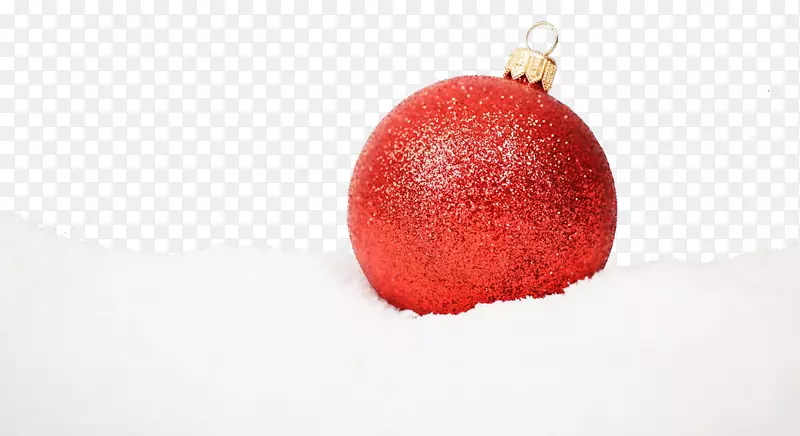圣诞点缀水果-雪红球