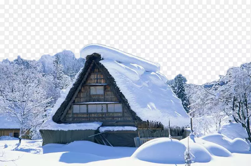 闭路电视数字录像机高清电视1080 p 720 p雪覆盖大地