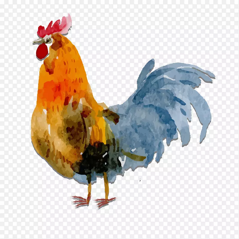 鸡水彩画手绘鸡
